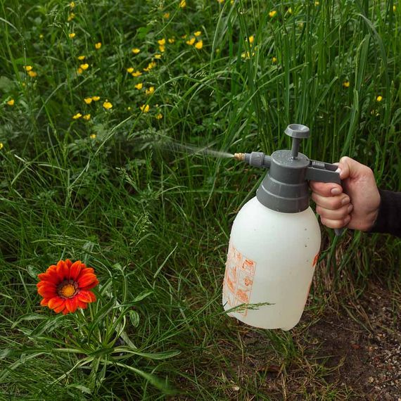 Обприскувач ручний Flora 2 л (5004334) | Зображення 3