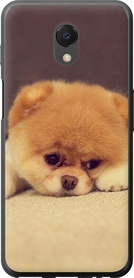 Чехол на Meizu M6s Boo 2 "890u-1364-17620"