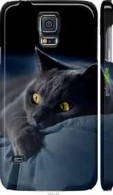 Чохол на Samsung Galaxy S5 Duos SM G900FD Димчастий кіт "825m-62-2448"