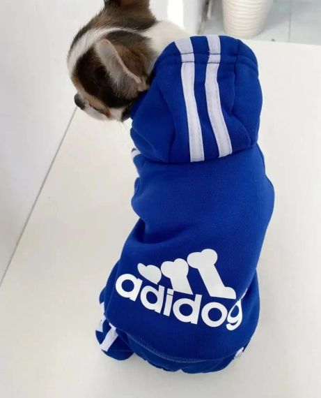 Костюм спортивний для собак Adidog синій | Зображення 4