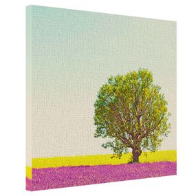 Картина на холсте Дерево в лавандовом поле 65x65 см (H6565_PRI002)