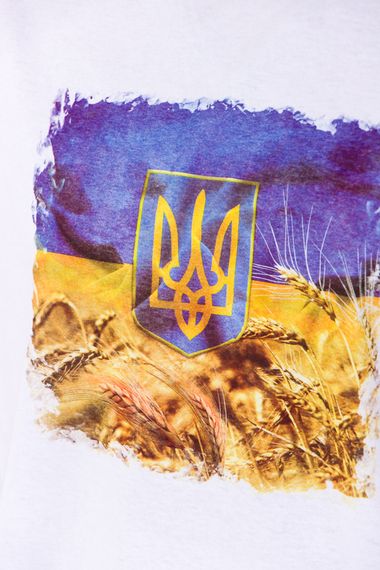 Футболка чоловіча (оверсайз) Носи своє 46 Білий (p-8046-77014) | Зображення 2