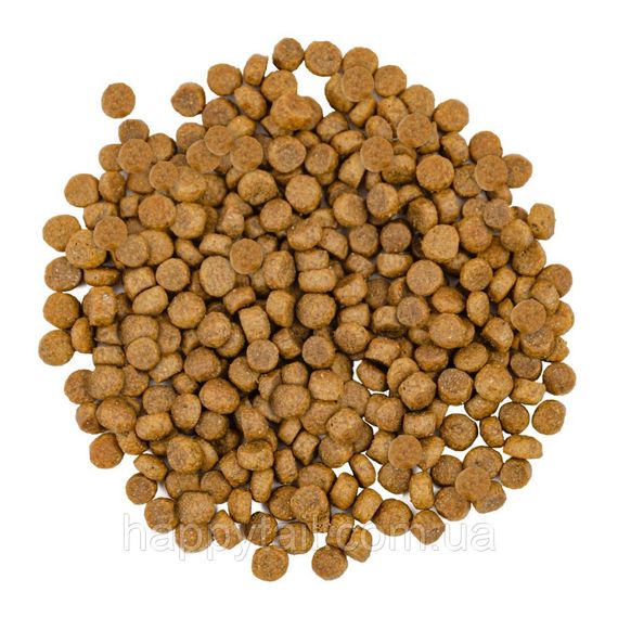 Корм сухий Savory Adult Cat Gourmand Fresh Salmon and White Fish для довгошерстих котів зі свіжим лососем і білою рибою 2 кг | Зображення 1