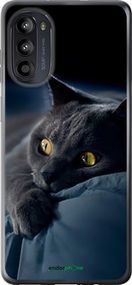 Чохол на Motorola Moto G52 Димчастий кіт "825u-2691-2448"