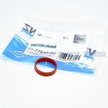 Прокладка впускного коллектора BMW 1/3/5/7/X3/X5/X6 2.0-3.0 D 98-, Victor Reinz, 71-77546-00,