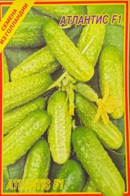 Огірок Атлантіс F 1 10 шт