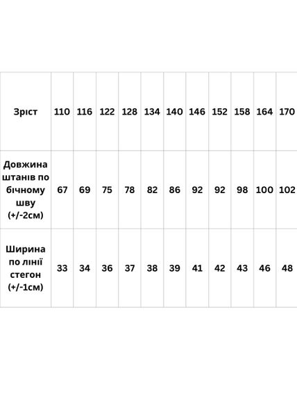 Штани для хлопчика Носи своє 164 Темно-бірюзовий (p-5136-210827) | Зображення 1