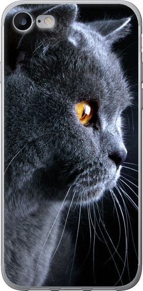 Чехол на iPhone SE 2020 Красивый кот "3038u-2013-17620"