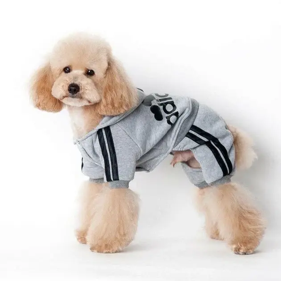 Костюм спортивний для собак Adidog Cірий XXL | Зображення 4