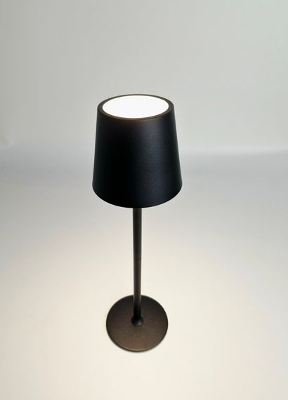 Настольная лампа TE-063 2W BK CCT LED | Зображення 2