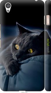 Чохол на OnePlus X Димчастий кіт "825c-385-2448"