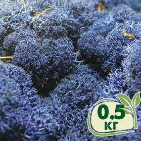Стабілізований мох ягель Синій блакитний 0,5 кг