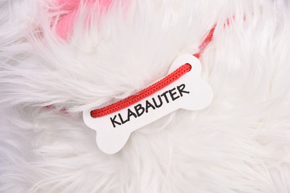 Кукла-перчатка goki Собачка Klabauter 51555G (51555G) | Зображення 2