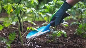 Добриво "Чистий лист" Kvitofor  для томатів та перцю - 300 г | Зображення 2