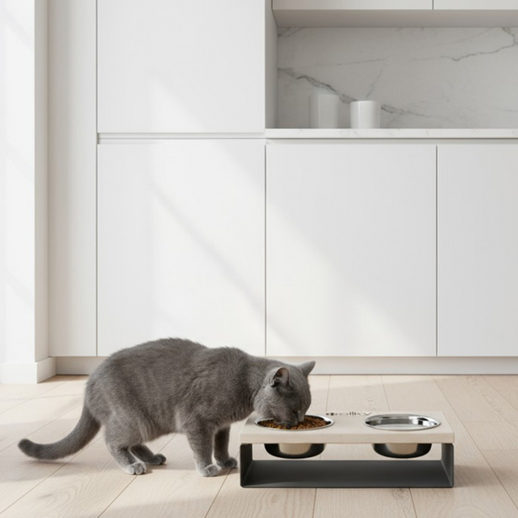 Миски на подставке из цельного металлического листа для собак и котов Hollky SteelWood S (2 × 0,45 л) SWS-36188-GRWH | Зображення 1