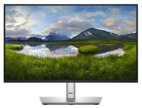 Монитор DELL 21.5&quot; P2225H D-Sub 210-BMHD