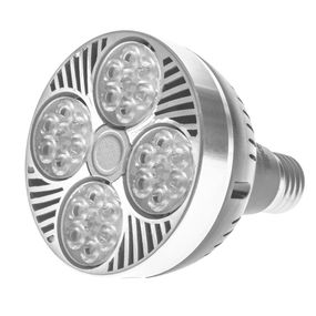 Лампа светодиодная E27 LED 30W WW PAR30 220V