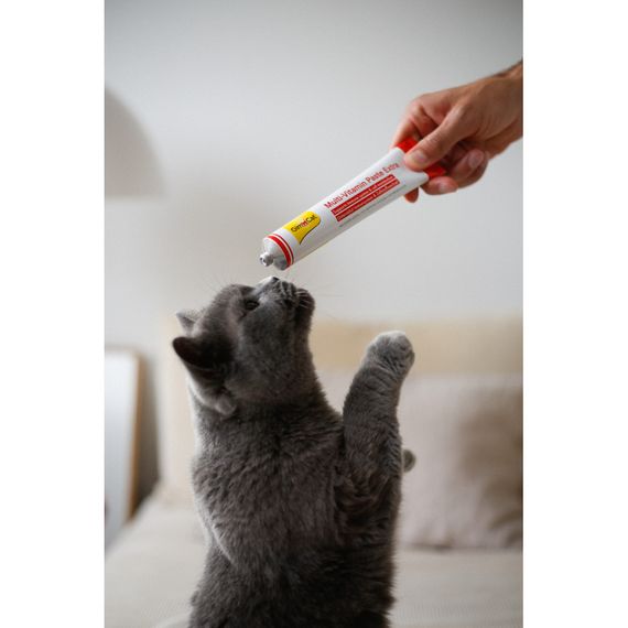 Вітаміни GimCat Every Day Extra мультивітамінна паста для котів для покращення імунітета 200 г | Зображення 3