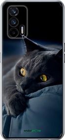 Чохол на Realme GT 5G Димчастий кіт "825u-3338-2448"