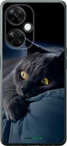 Чохол на OnePlus Nord CE 3 Lite 5G Димчастий кіт "825u-3144-2448"