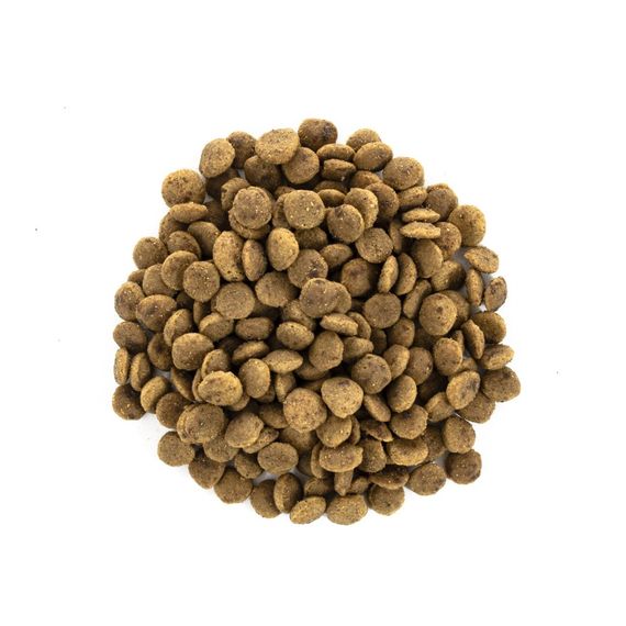 Корм сухий Brit Care Cat Grain Free Large Power Vitality для дорослих котів великих порід з качкою та куркою 2 кг | Зображення 1