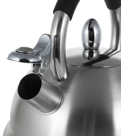 Чайник Kamille Whistling Kettle 2.7л з нержавіючої сталі зі свистком | Зображення 1