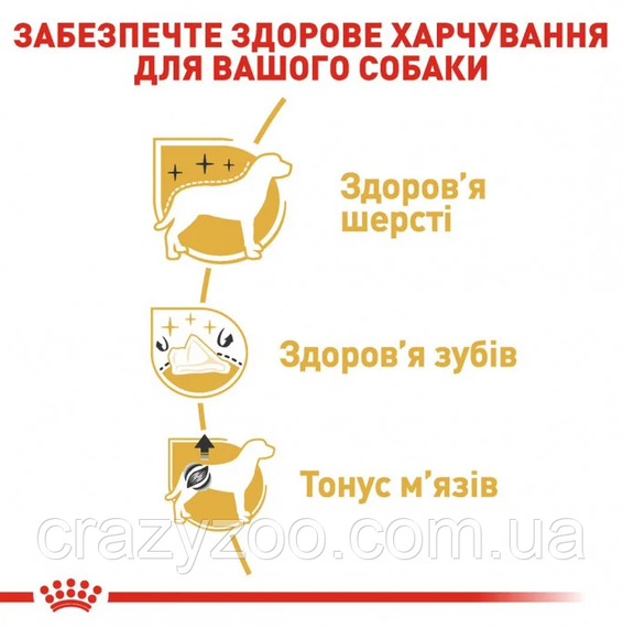 Сухий корм для собак породи джек рассел тер'єр Royal Canin Jack Russell Terrier 1.5 кг | Зображення 2