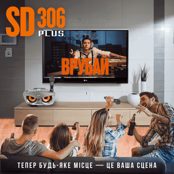 Портативная Караоке Система Для Дома с Двумя Микрофонами и Профессиональным Звукоснимателем SDRD SD306 Plus | Зображення 6