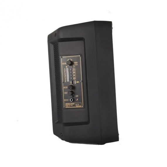 Портативная колонка XPRO RX-8136 чемодан 10Вт, USB, SD, FM радио, Bluetooth, 1 микрофон, ДУ (MER-15713) | Зображення 4