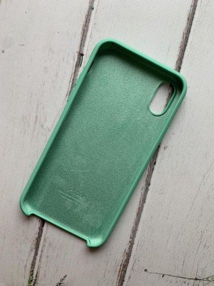 Силіконовий чохол Apple Silicone Case Mint для iPhone X/XS | Зображення 1