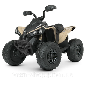 Детский электромобиль Квадроцикл Bambi M 5001EBLR-13
