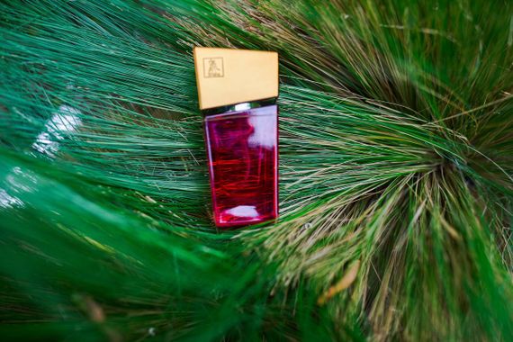Духи с феромонами женские SHIATSU Pheromone Fragrance women red 50 ml | Зображення 2