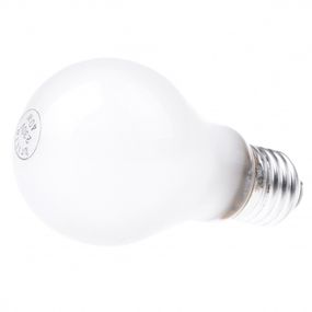 Лампа розжарювання 40W E27 WW A60 FR Br 220V