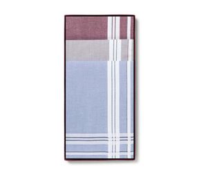 Чоловічі бавовняні носові хустинки Guasch 104.95 D.12