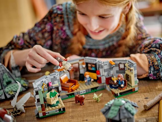 Конструктор LEGO Harry Potter Хатинка Геґріда: Несподівані гості 76428 | Зображення 9
