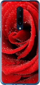Чехол на OnePlus 7 Pro Красная роза "529u-1696-17620"