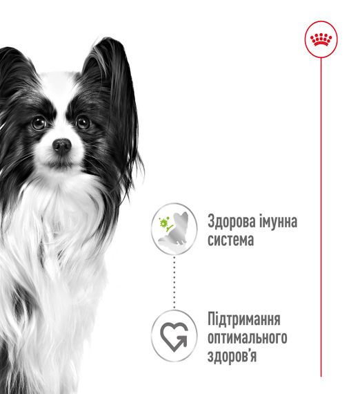 Корм Royal Canin X-Small Adult влажный для взрослых собак 85 гр | Зображення 1