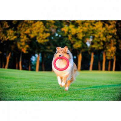 Игрушка для собак Collar PitchDog Кольцо для апортировки 20 см розовое (62377) | Зображення 2