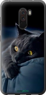 Чохол на Xiaomi Pocophone F1 Димчастий кіт "825t-1556-2448"