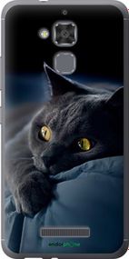Чохол на Asus Zenfone 3 Max ZC520TL Димчастий кіт "825u-442-2448"