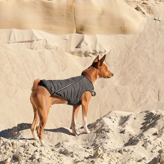 Жилет Pet Fashion E.Vest для собак сірий SМ | Зображення 4