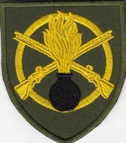 Шеврон 22 ОМПБ (олива)