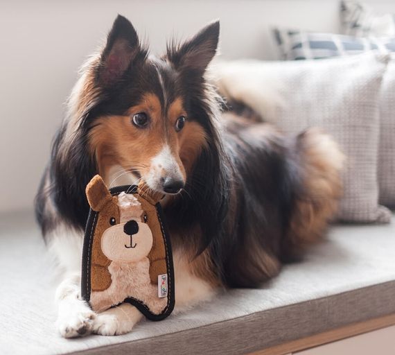 Іграшка для собак OutwardHound Invincibles Minis Puppy | Зображення 1