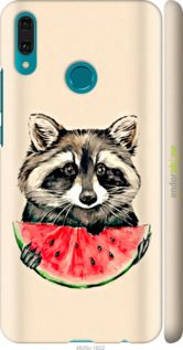 Чохол на Huawei Y9 2019 Єнотик з кавуном "4605m-1602-2448"