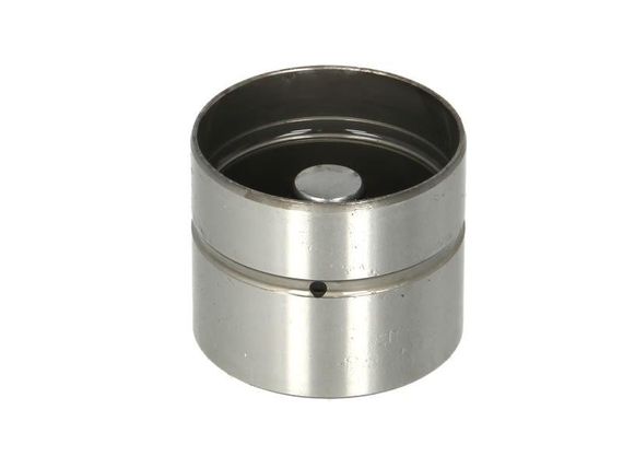 Гідрокомпенсатор Лачетті 1.8-2.0, Такума Еванда Нубіра 2.0, Леганза 2.0-2.2, Каптива 2.4 INA (420 0118 10) | Зображення 1