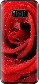 Чехол на Samsung Galaxy S8 Plus Красная роза "529u-817-17620"