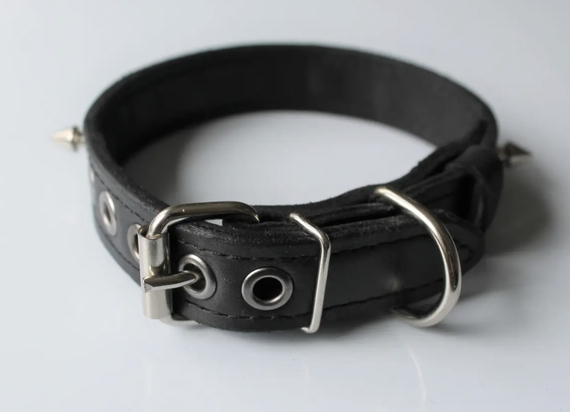 Кожаный ошейник для средних пород собак "Lockdog" с шипами black | Зображення 2