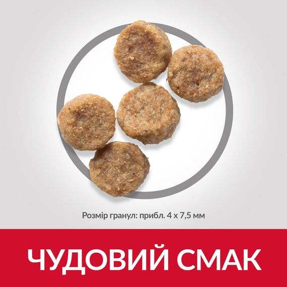 Сухой корм Hill's Science Plan для зрелых малых и миниатюрных собак от 7 лет с курицей 6 кг | Зображення 2