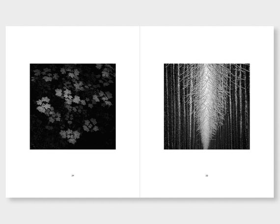 Книга лучшие фотографы мира черно-белые фотографии Джеффри Конли Jeffrey Conley. West книги про фотографию | Зображення 4