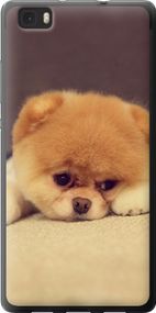 Чехол на Huawei Ascend P8 Lite Boo 2 "890u-126-17620"